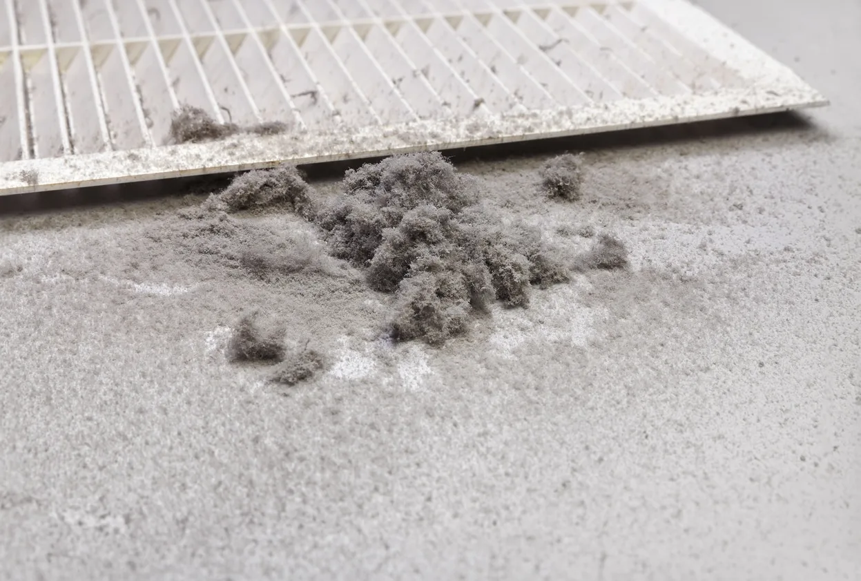 Dust from the duct filter